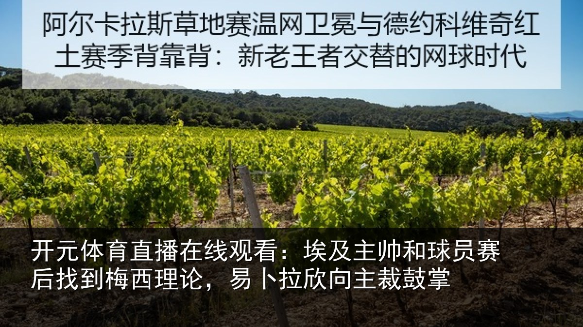 开元体育直播在线观看:埃及相关情况到梅相关情况主裁鼓掌