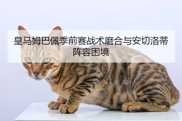 皇马姆巴佩季前赛战术磨合与安切洛蒂阵容困境