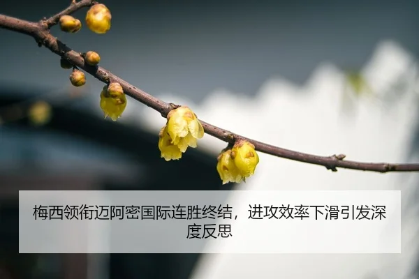 mei-xi-ling-xian-mai-a-mi-guo-ji-lian-sheng-zhong-jie-jin-gong-xiao-lv-xia-hua-yin-fa-shen-du-fan-si-3-237.jpg