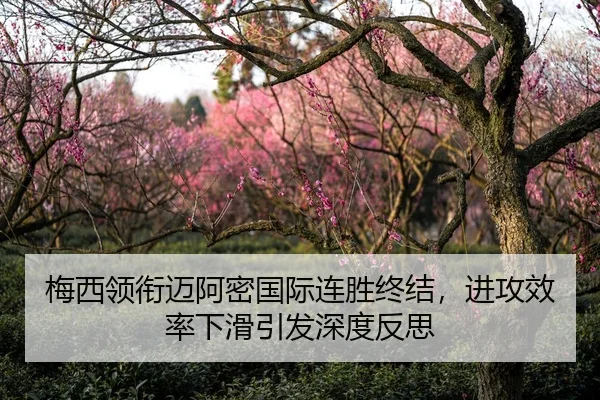 梅西领衔迈阿密国际连胜终结，进攻效率下滑引发深度反思