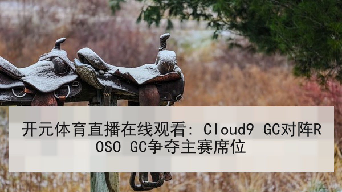 开元体育直播在线观看: Cloud9 GC对阵ROSO GC争夺主赛席位