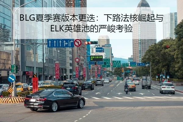 BLG夏季赛版本更迭：下路法核崛起与ELK英雄池的严峻考验