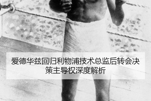 ai-de-hua-zi-hui-gui-li-wu-pu-ji-shu-zong-jian-hou-zhuan-hui-jue-ce-zhu-dao-quan-shen-du-jie-xi-2-545.jpg