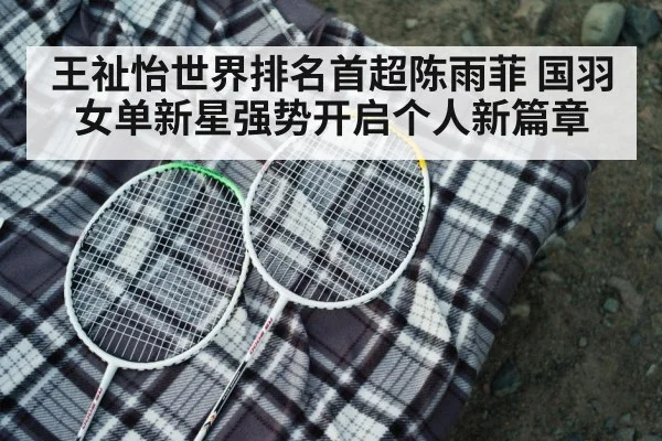 badminton racket closeup